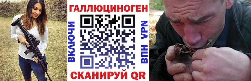 OMG ONION  Бирск  Псилоцибиновые грибы мицелий 